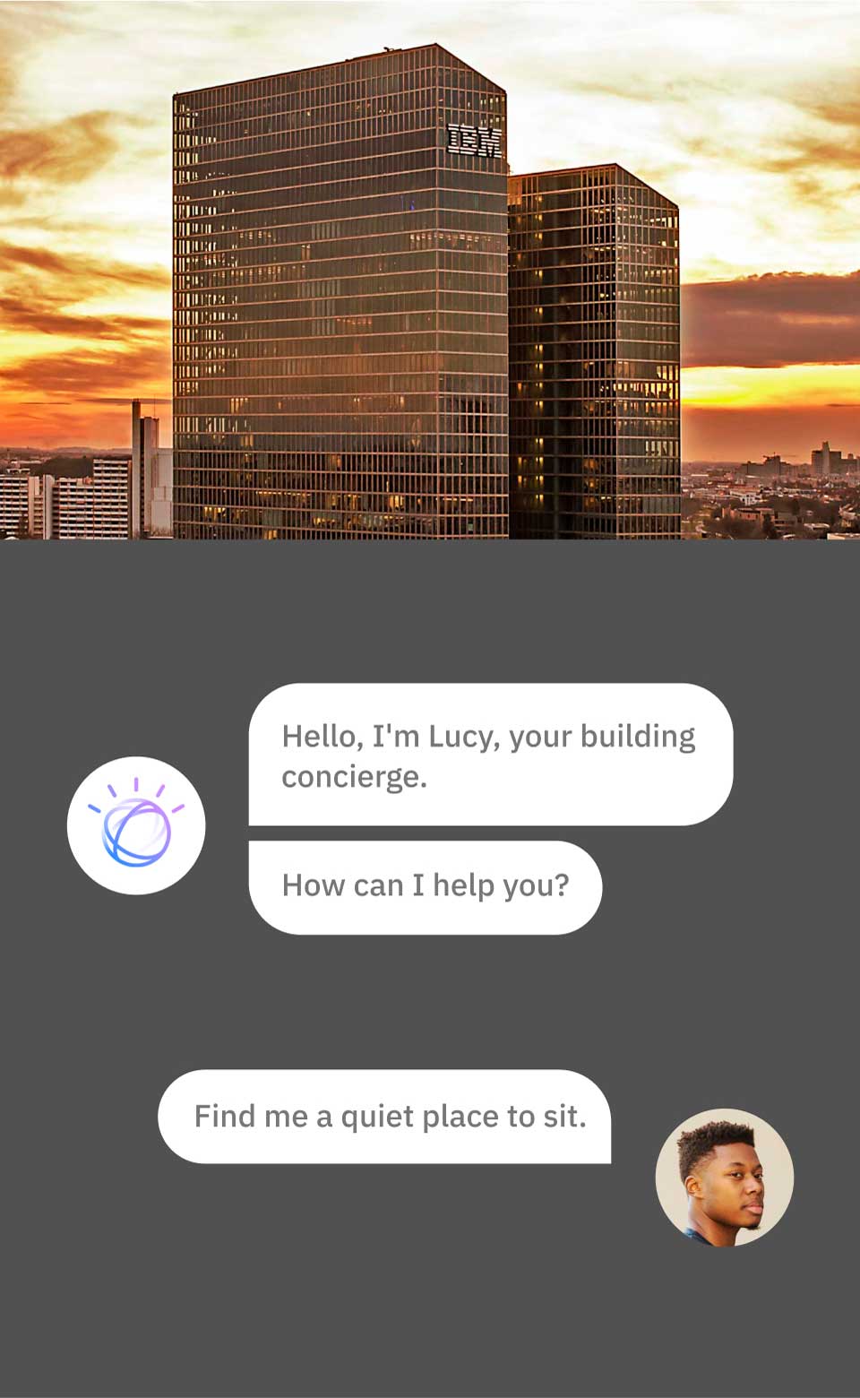 (Soon) Lucy, the cognitive chatbot